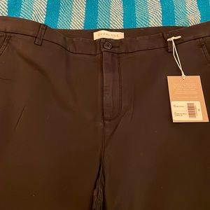 NWT-Everlane Muted Black Slim Fit Pants 38x30